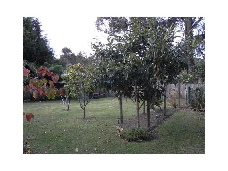 89 Fairway Drive, Sanctuary Point NSW 2540