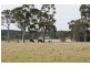 55C Hayward Road, Wandandian NSW 2540