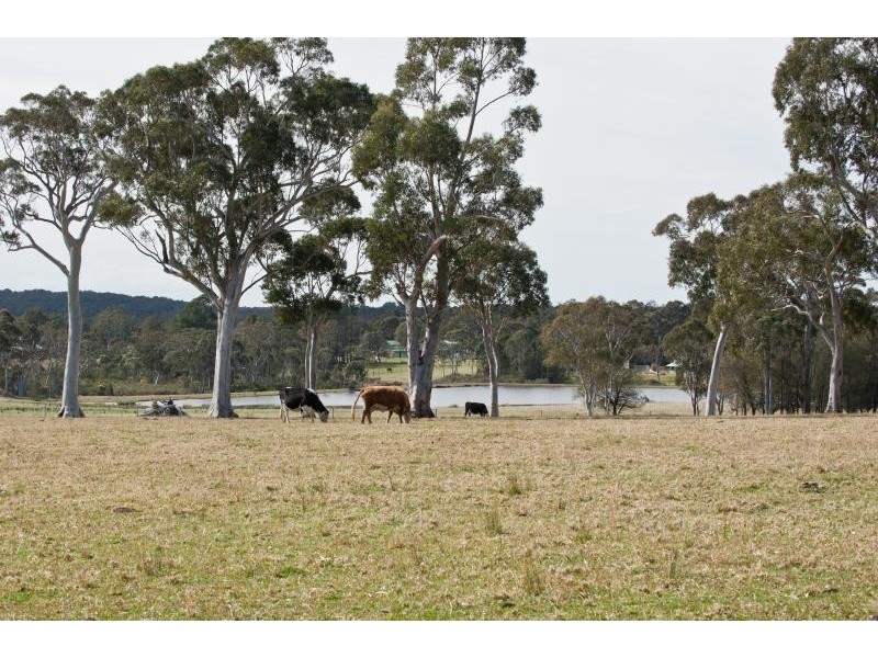 55C Hayward Road, Wandandian NSW 2540