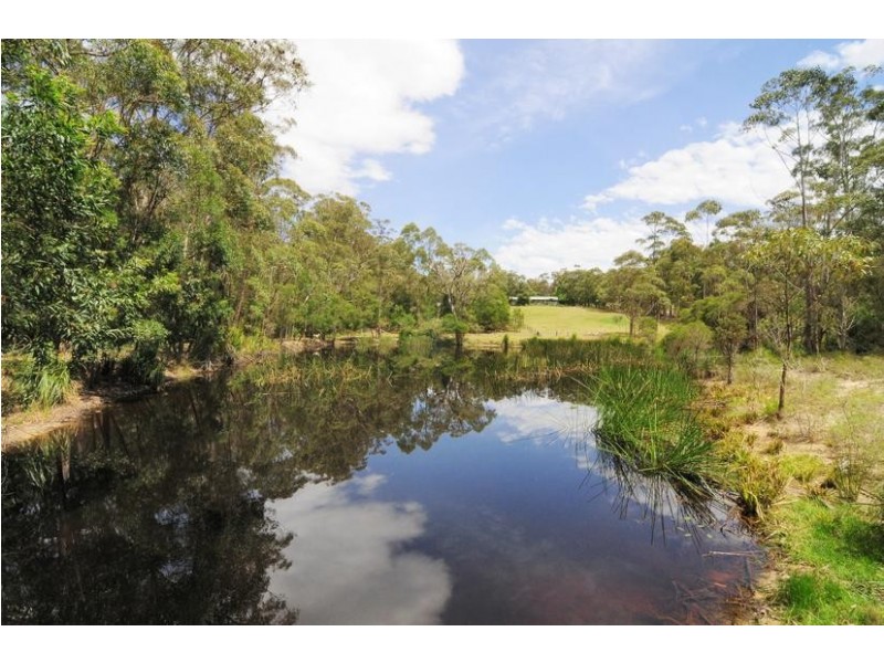 59 Woollamia Road, Falls Creek NSW 2540