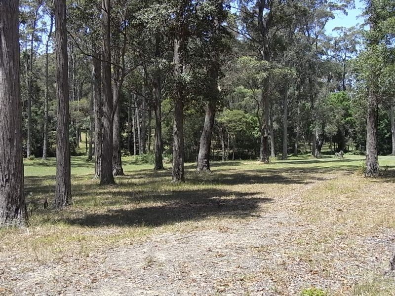 193 Grange Road, St Georges Basin NSW 2540