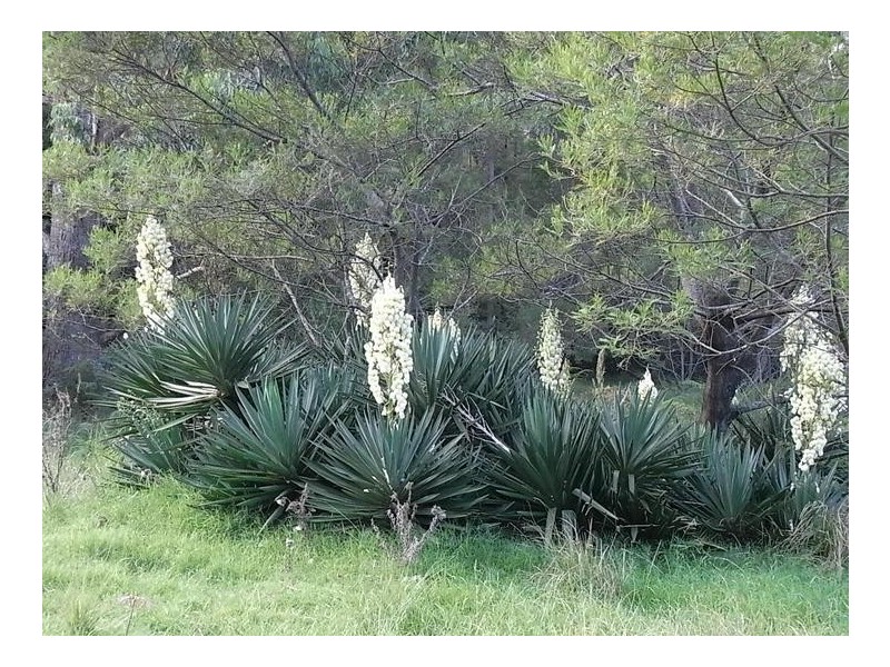 Lot 21 Wandean Road, Wandandian NSW 2540