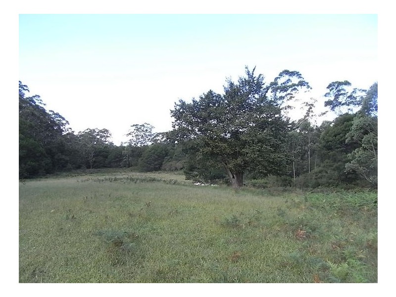 Lot 21 Wandean Road, Wandandian NSW 2540
