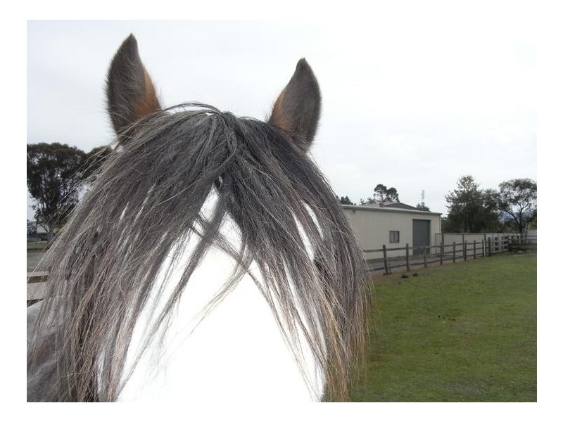 D2690 Princes Highway, Wandandian NSW 2540