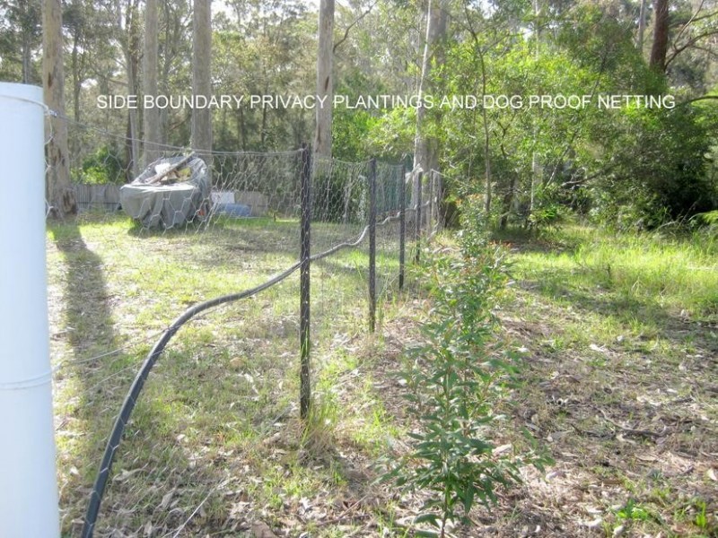 295 The Park Drive, Sanctuary Point NSW 2540