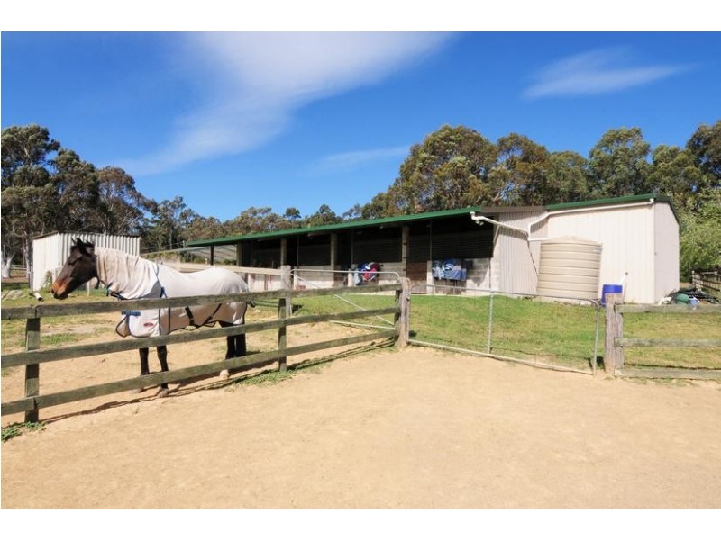 41 Mortimer Road, Falls Creek NSW 2540