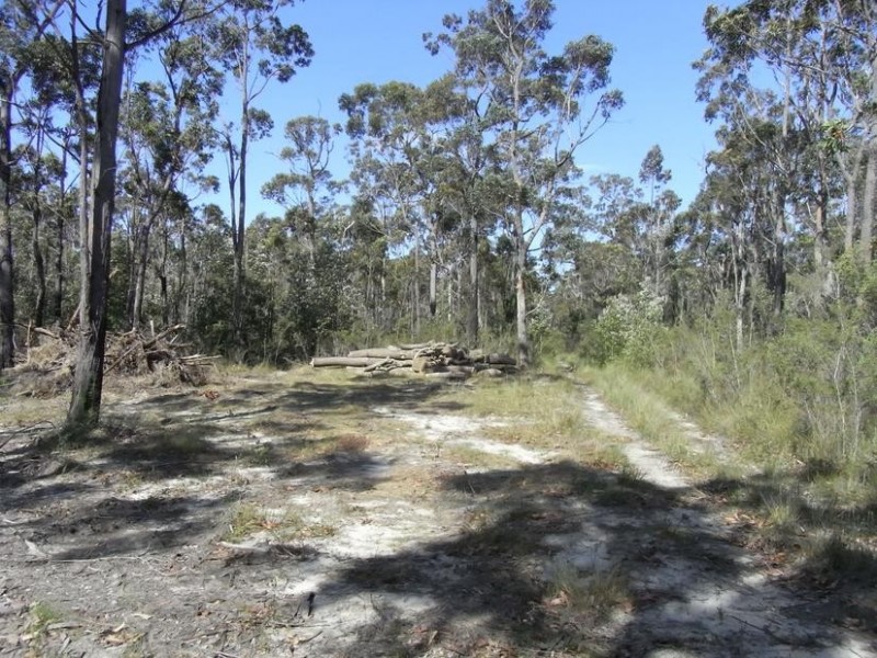 110 Warne Road, Tomerong NSW 2540