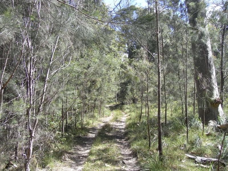 10 Seasongood Road, Woollamia NSW 2540