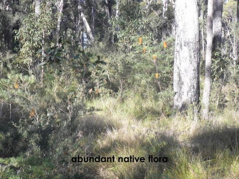 17 Seasongood Road, Woollamia NSW 2540