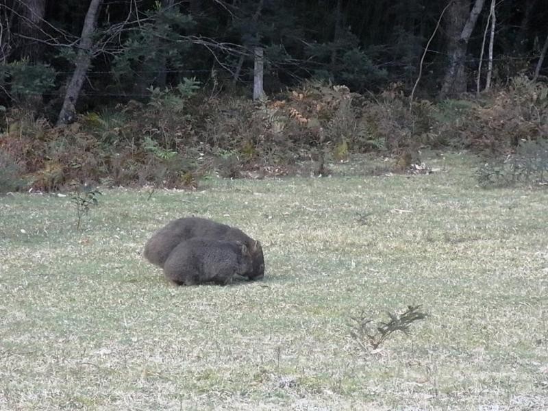 Lot 22&29 Wandean Road, Wandandian NSW 2540