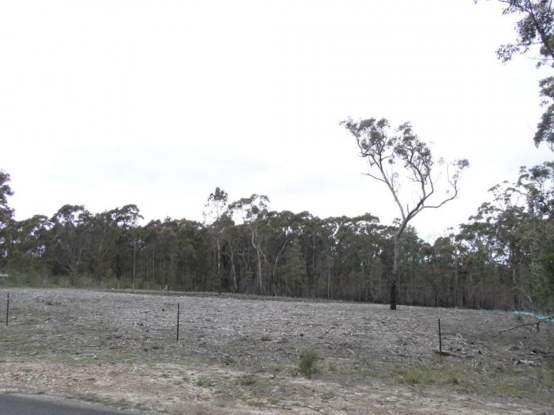 99 Sinclair Road, Falls Creek NSW 2540