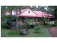 917 Sussex Inlet Road, Sussex Inlet NSW 2540