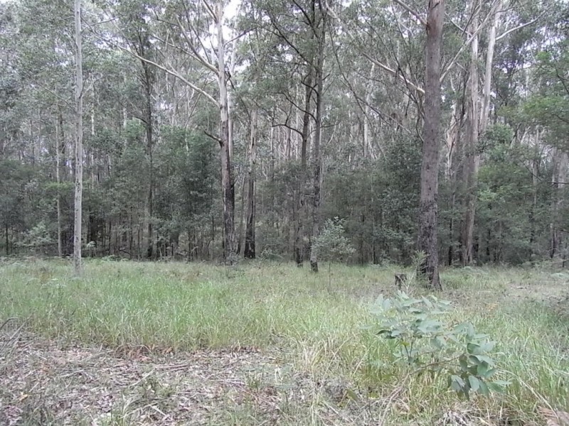Lot 36 Kells Road, Tomerong NSW 2540