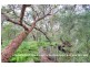 34 Frederick Street, Vincentia NSW 2540