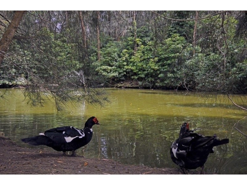 23 Deane Street, St Georges Basin NSW 2540