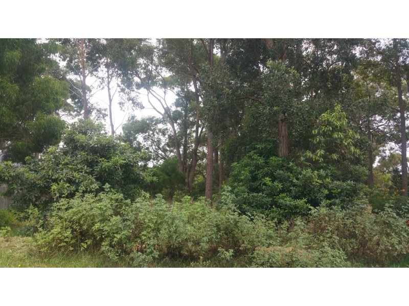 17 June Avenue, Basin View NSW 2540