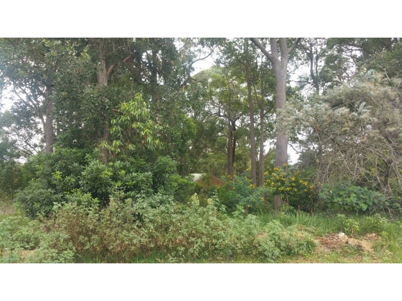 19 June Avenue, Basin View NSW 2540