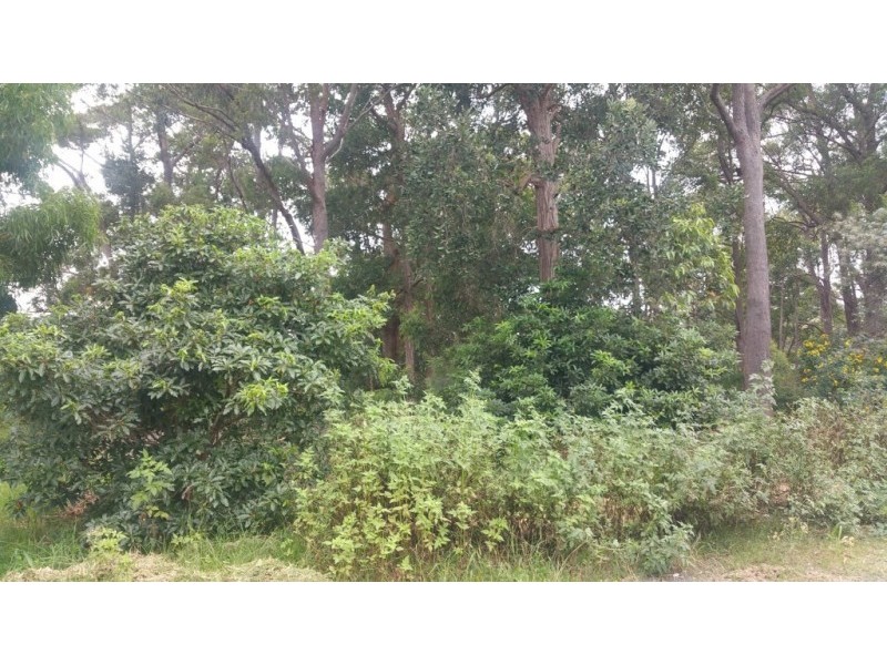 21 June Avenue, Basin View NSW 2540