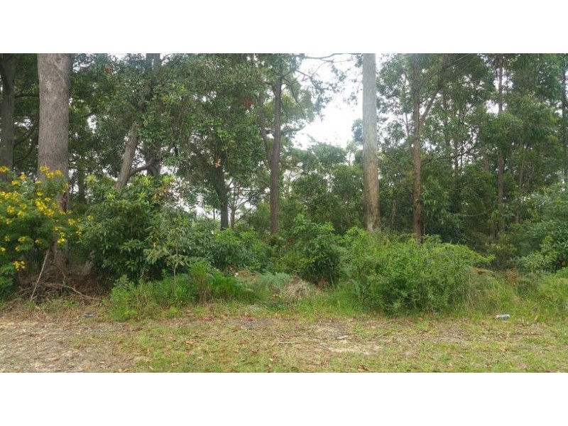 21 June Avenue, Basin View NSW 2540