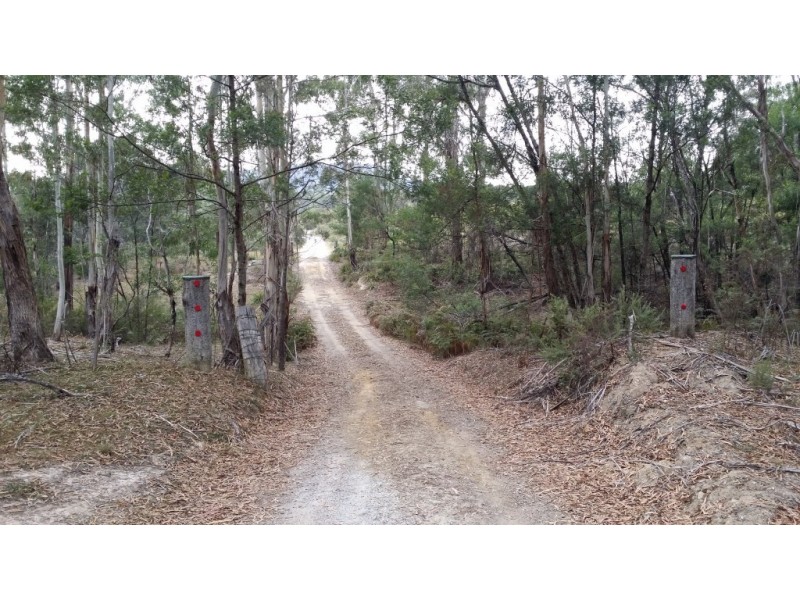 3 Endrick River Road, Nerriga NSW 2622