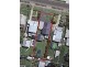 44 Tallyan Point Road, Basin View NSW 2540