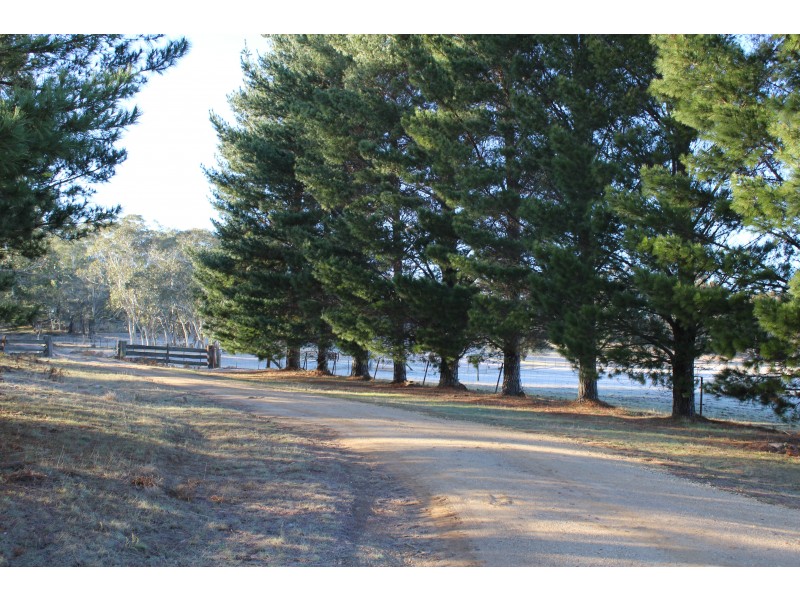 350 Meangora Road, Nerriga NSW 2622