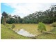 D2880C Princes Highway, Wandandian NSW 2540