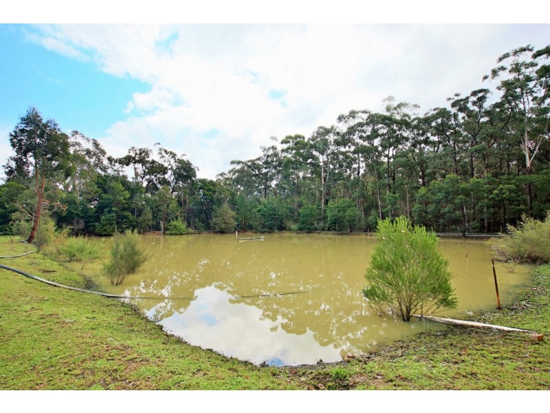 D2880C Princes Highway, Wandandian NSW 2540