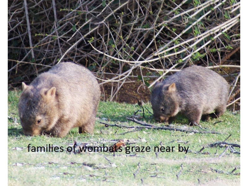 Grassy Gully Road, Burrier NSW 2540