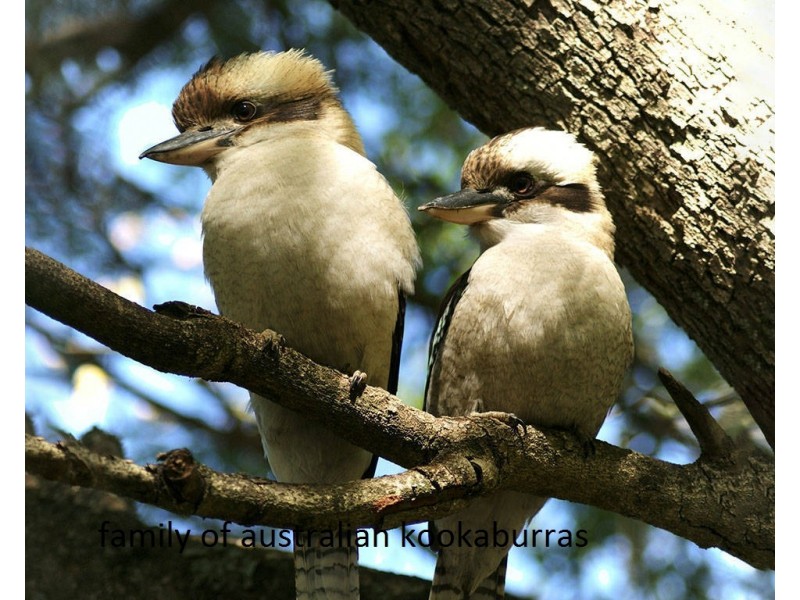 Grassy Gully Road, Burrier NSW 2540