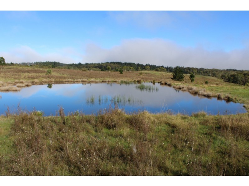 2206 Charley’s Forest Road, Nerriga NSW 2622