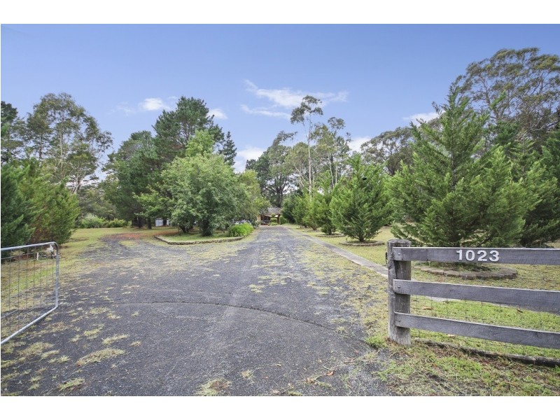 D1023 Princes Highway, Falls Creek NSW 2540
