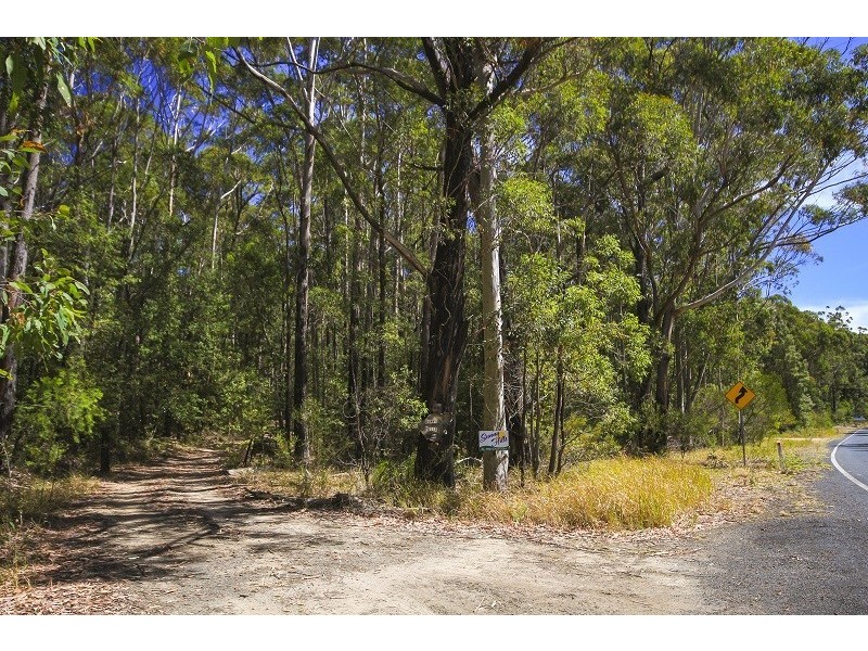 421 Turpentine Road, Tomerong NSW 2540