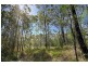 Lot 113,  Jerberra Road, Tomerong NSW 2540