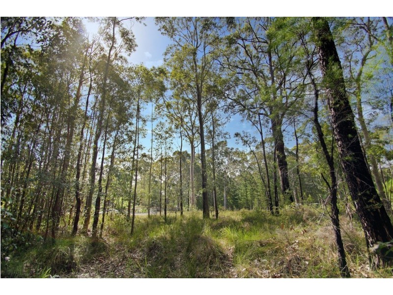 Lot 113,  Jerberra Road, Tomerong NSW 2540