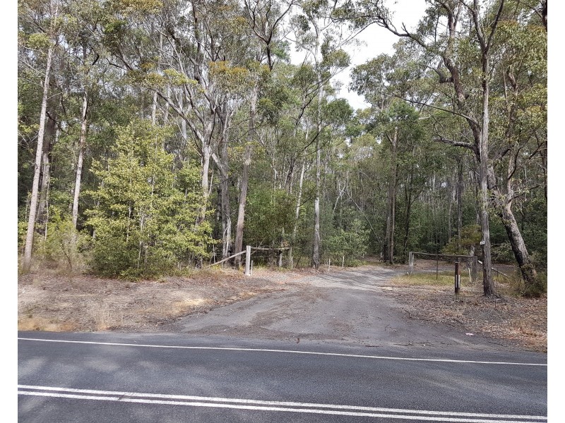 Lot 6, 421 Turpentine Road, Tomerong NSW 2540