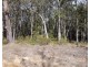 Lot 6, 421 Turpentine Road, Tomerong NSW 2540