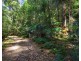 Lot 6, 421 Turpentine Road, Tomerong NSW 2540