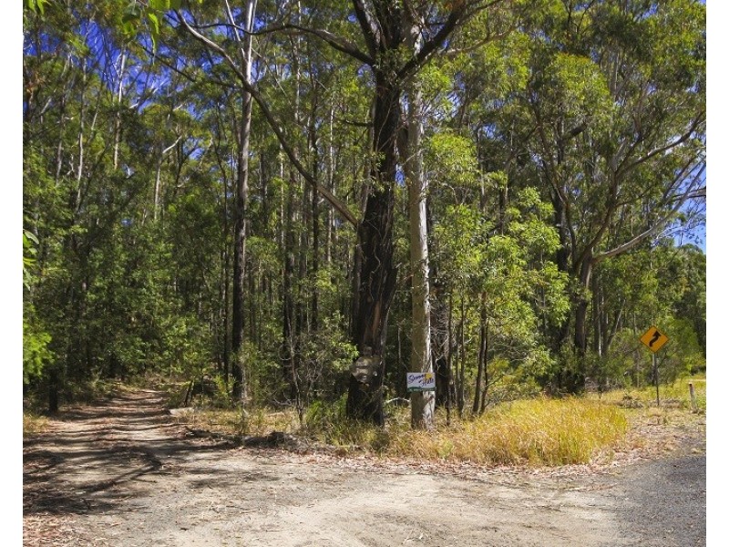 Lot 6, 421 Turpentine Road, Tomerong NSW 2540