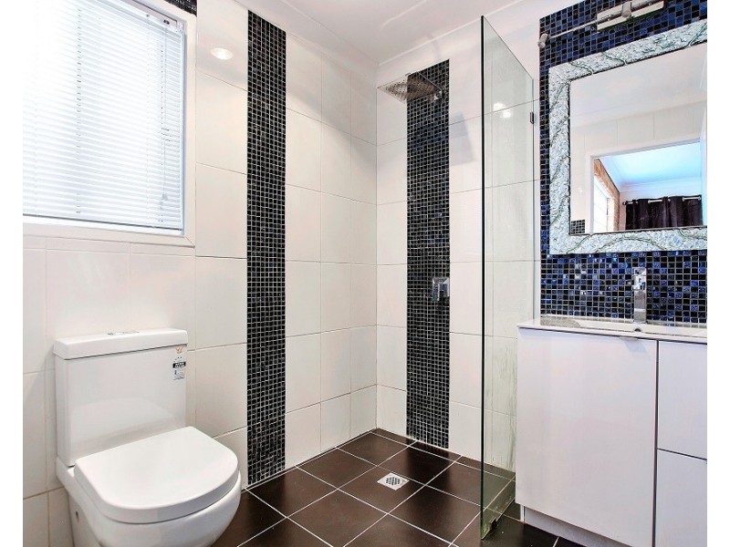 161 Elizabeth Drive, Vincentia NSW 2540