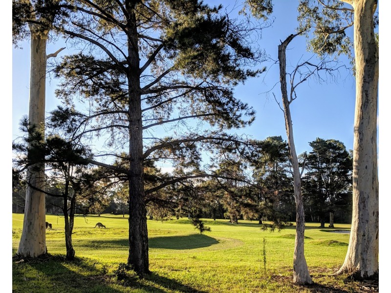 10 Gymea Avenue, Sanctuary Point NSW 2540