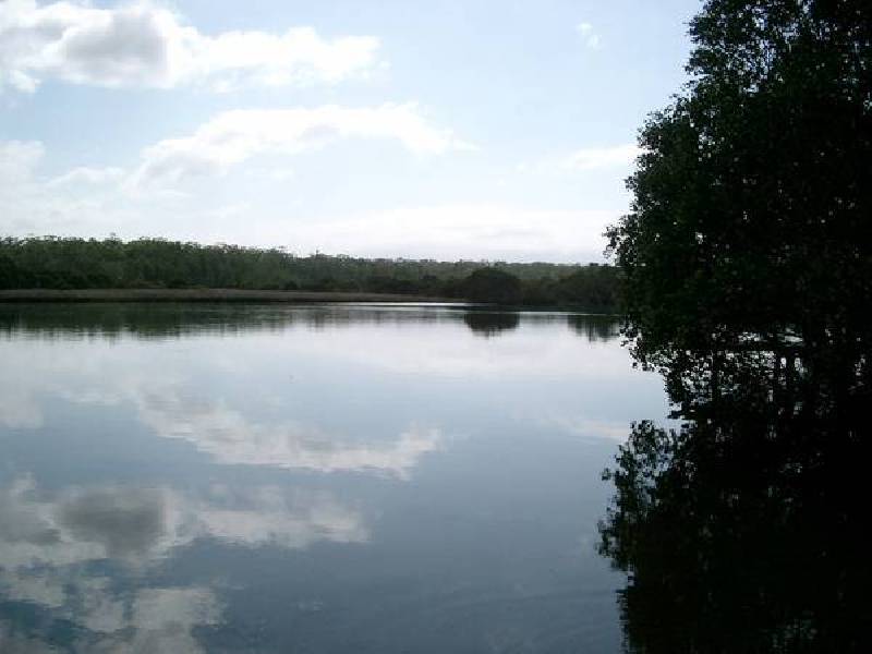 39 Streamside St, Woollamia NSW 2540