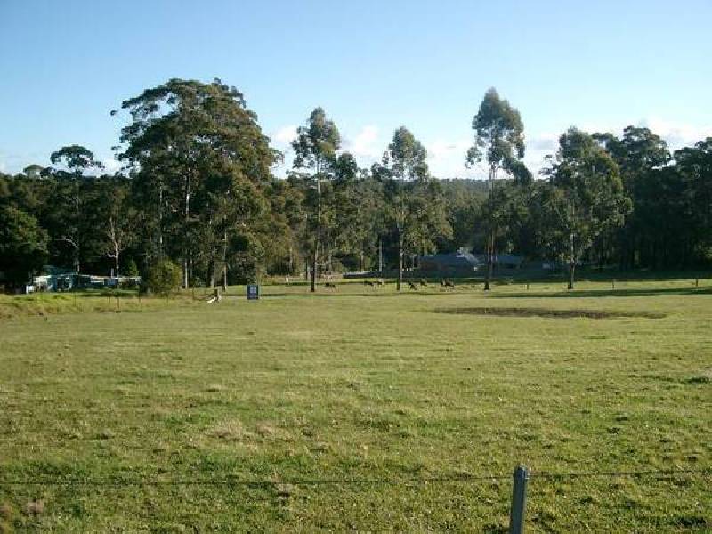 Lot 8 William Bryce Road, Tomerong NSW 2540