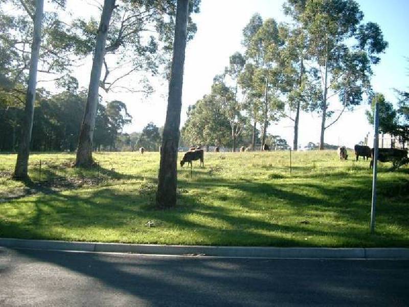 Lot 8 William Bryce Road, Tomerong NSW 2540