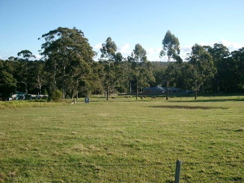 Lot 9 William Bryce Road, Tomerong NSW 2540