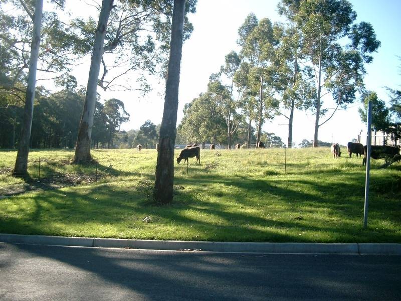 Lot 9 William Bryce Road, Tomerong NSW 2540