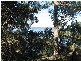 152 Greville Avenue, Sanctuary Point NSW 2540