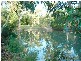 63 Cambourne Road, Tomerong NSW 2540
