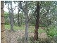40 The Wool Road, Vincentia NSW 2540
