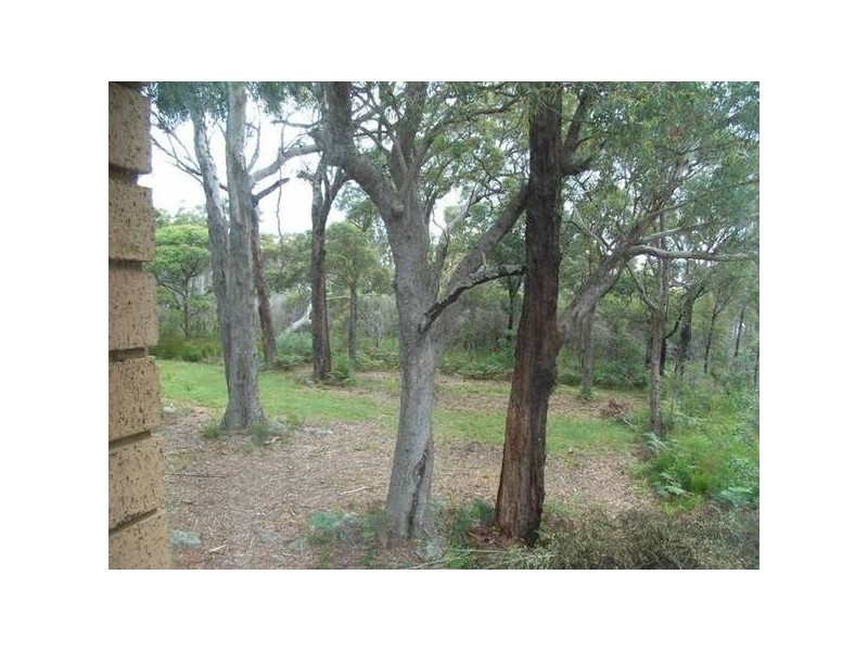 40 The Wool Road, Vincentia NSW 2540